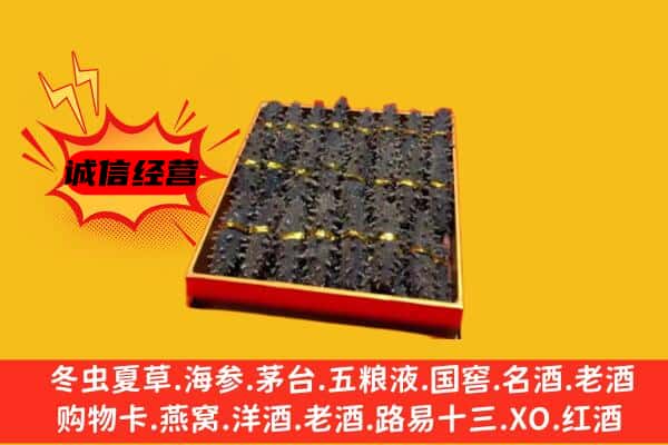 南通启东市回收海参